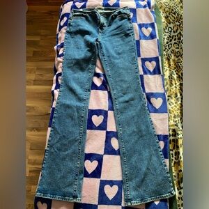 Pacsun size 25 low rise bootcut butterfly jeans